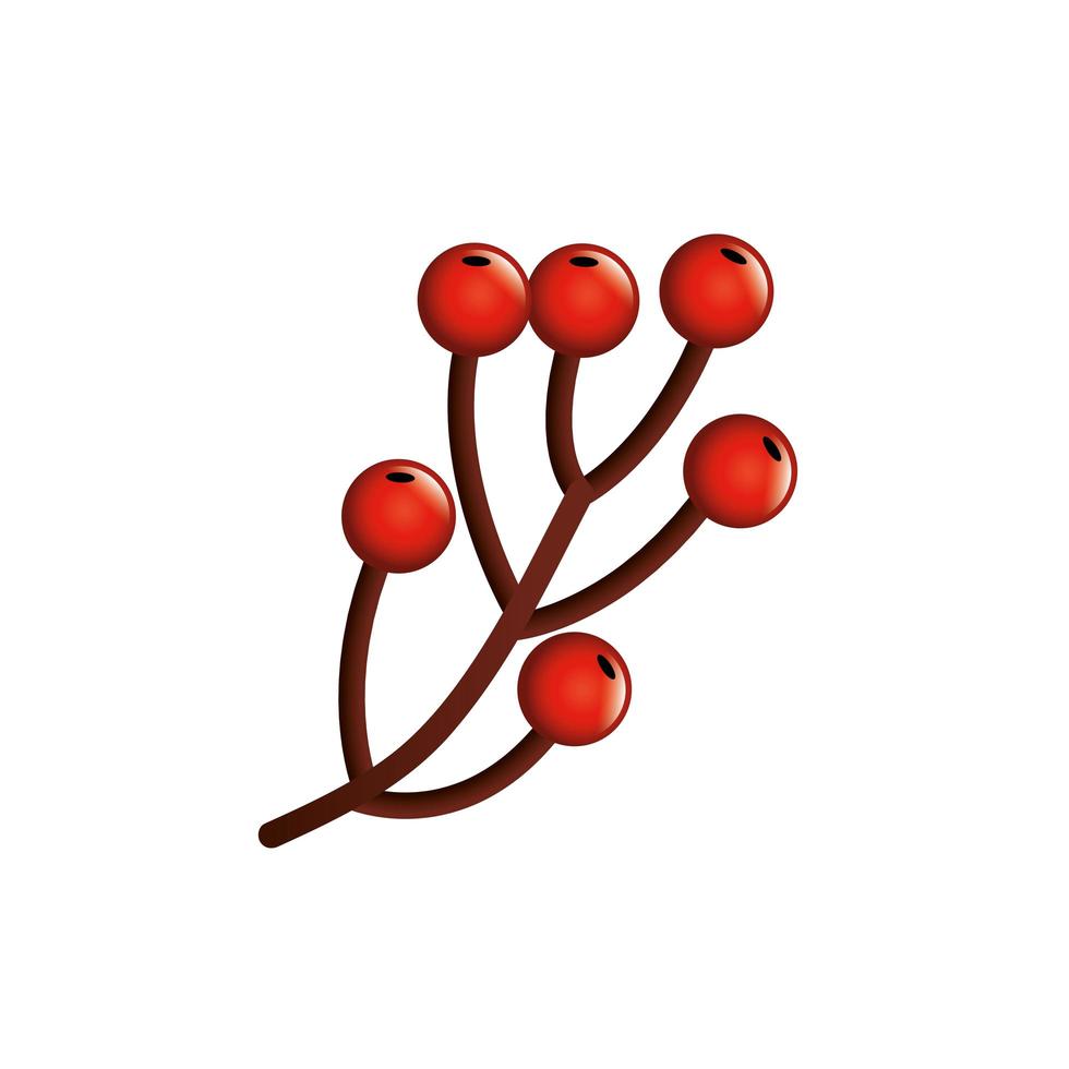 Rama con frutas de acebo icono aislado tradicional de Navidad vector