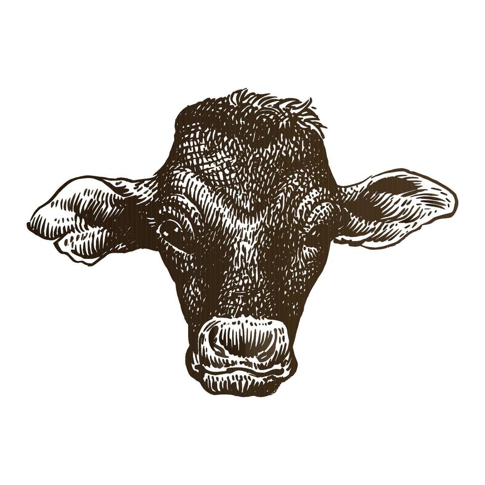 Cow head hand drawing illustration vector