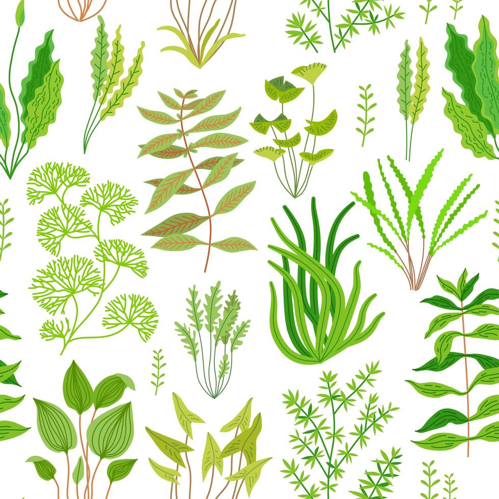 Seamless pattern with marine plants and seaweed. vector