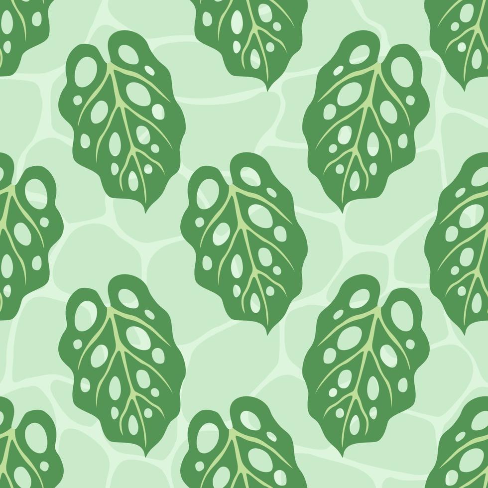Tropical Plant Monstera Adansonii Leaves Seamless Pattern vector