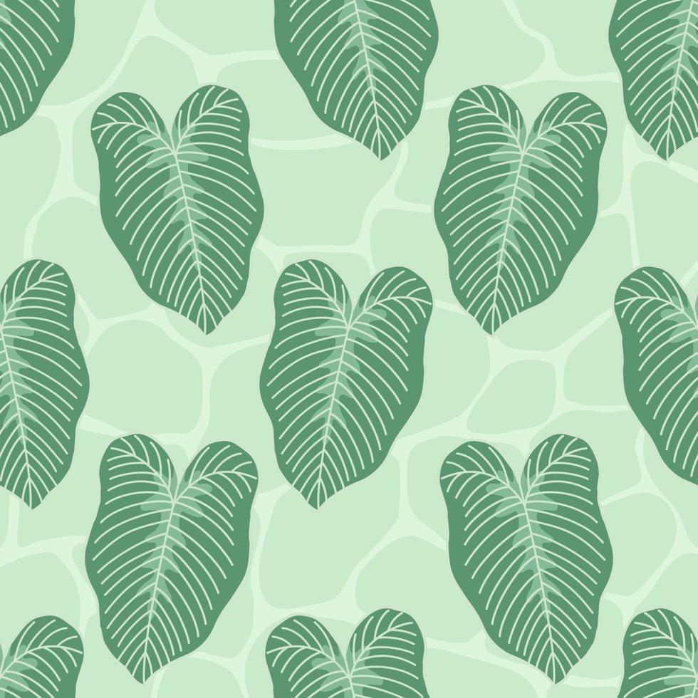 tropical plant caladium lindenii leaves seamless pattern vector