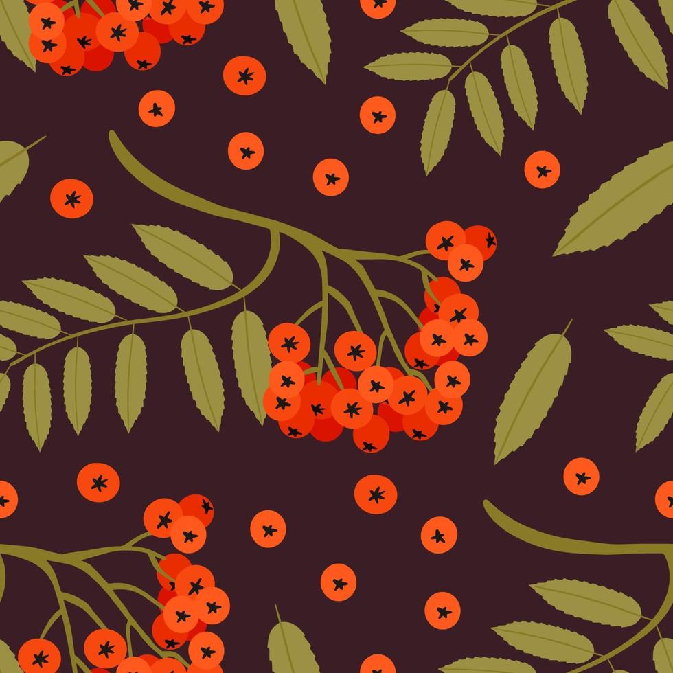 Nature s Seamless pattern with rowan tree twig. Vector illustration