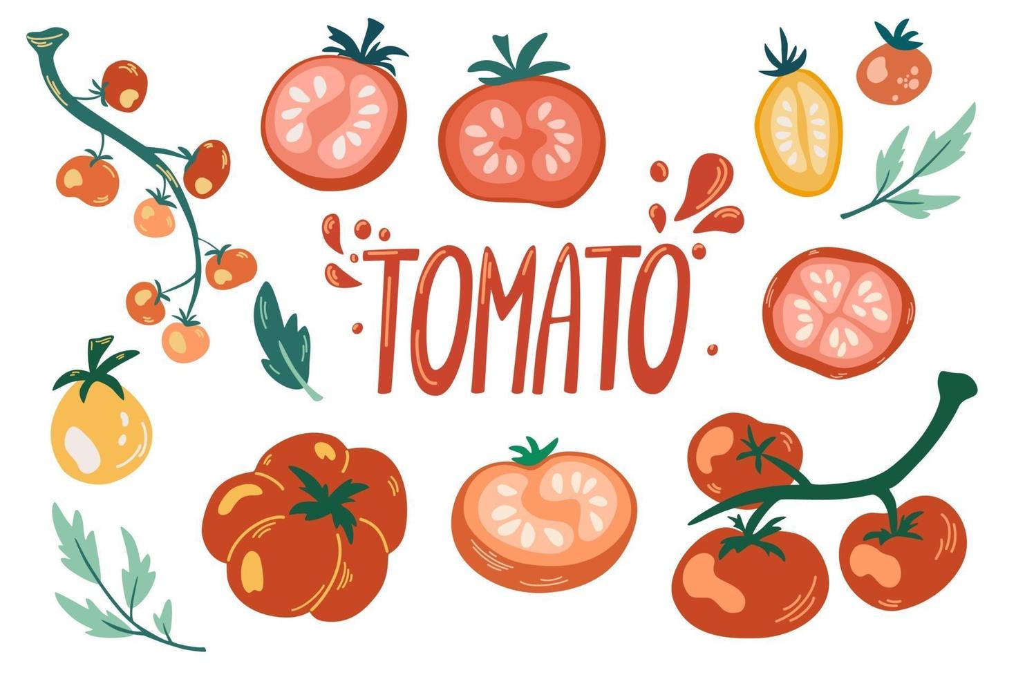 conjunto de tomates. verduras de dibujos animados. comida sana vegetariana. vector