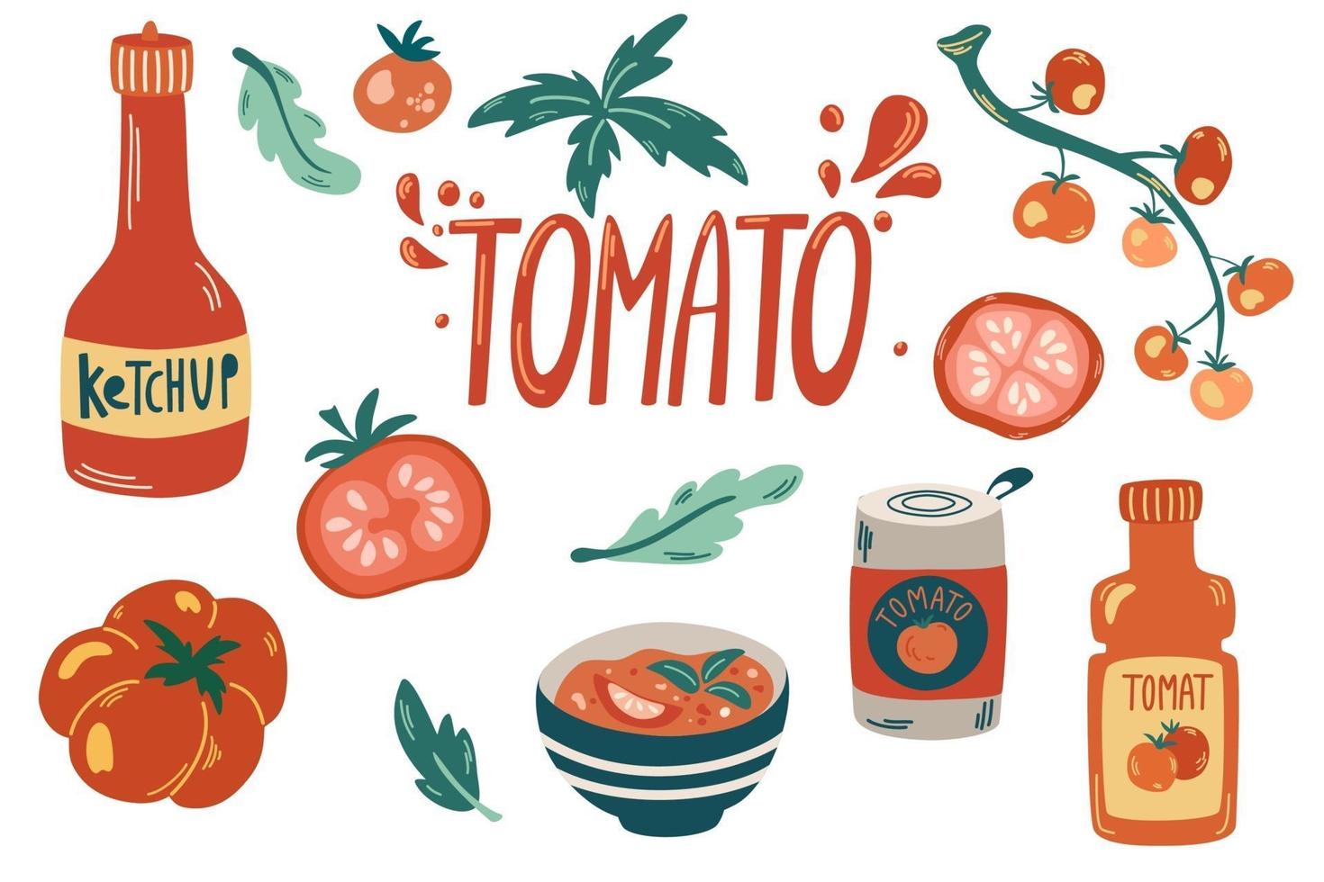 Fresh red tomatoes collection. Ketchup, tomato sauce vector