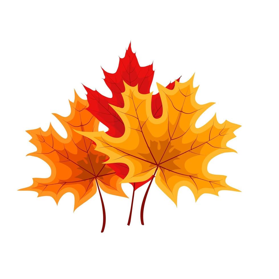 Autumn Falling Leaves Icon Isolated vector