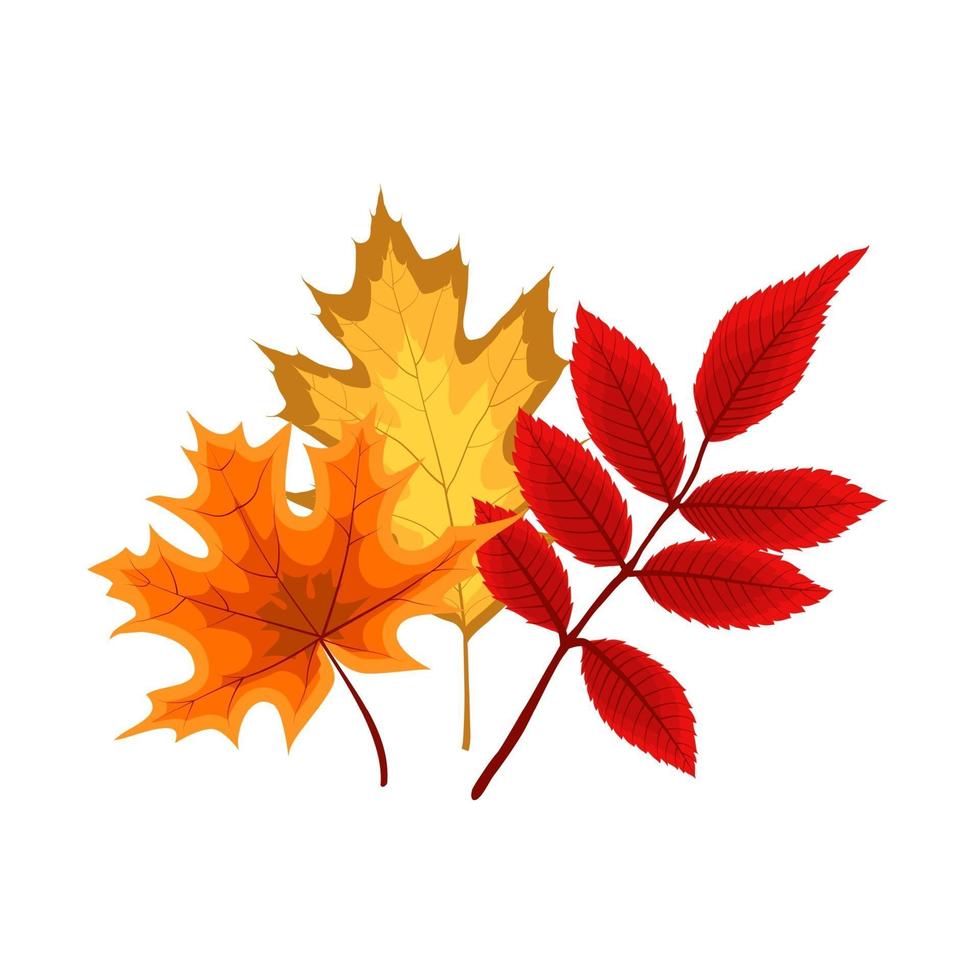 Autumn Falling Leaves Icon Isolated on White Background. vector