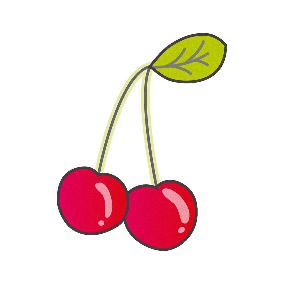 Naturalistic Drawn ripe double cherry on a branch with a leaf. vector