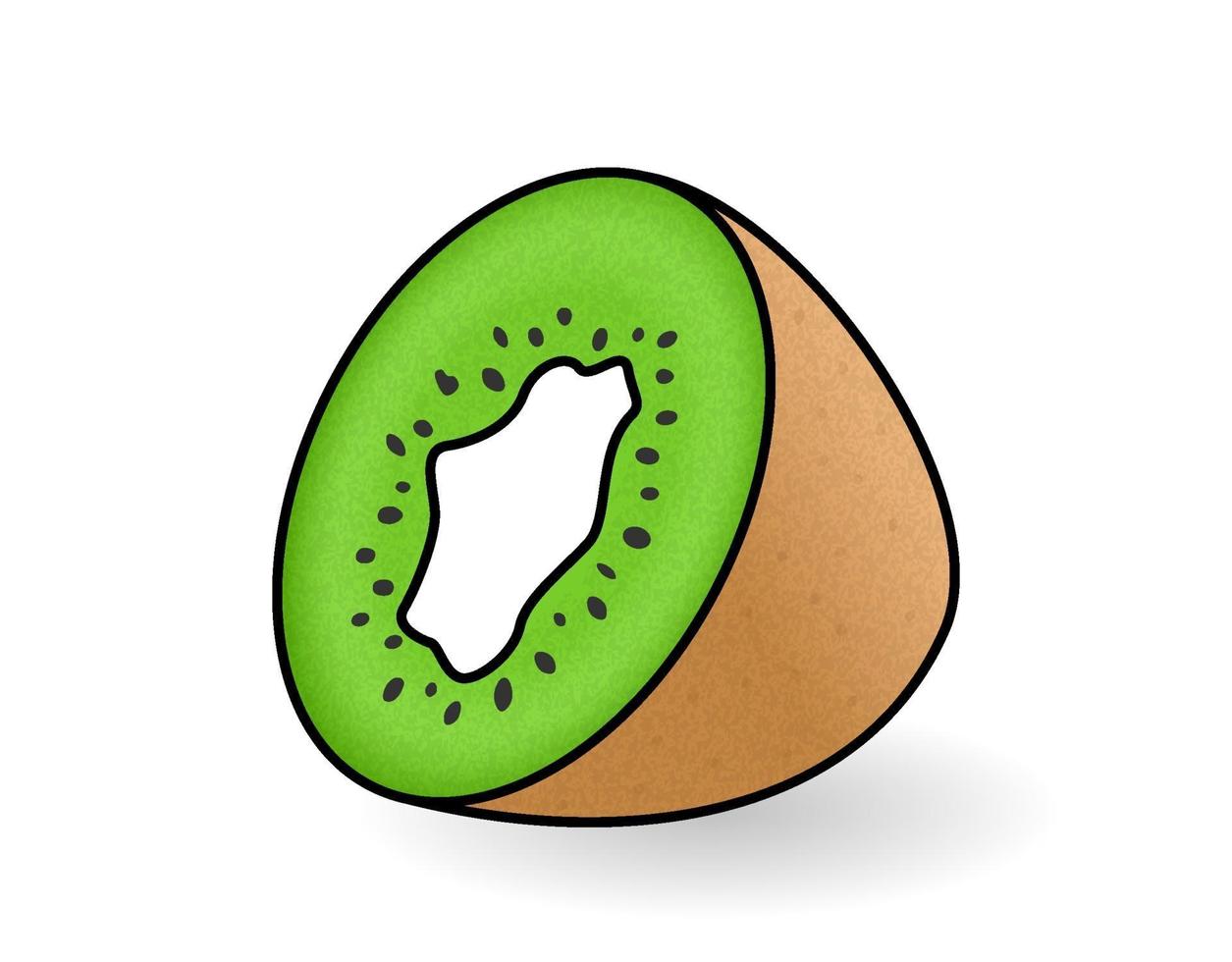 Naturally Drawn Green Ripe Kiwi Cut in Half. vector