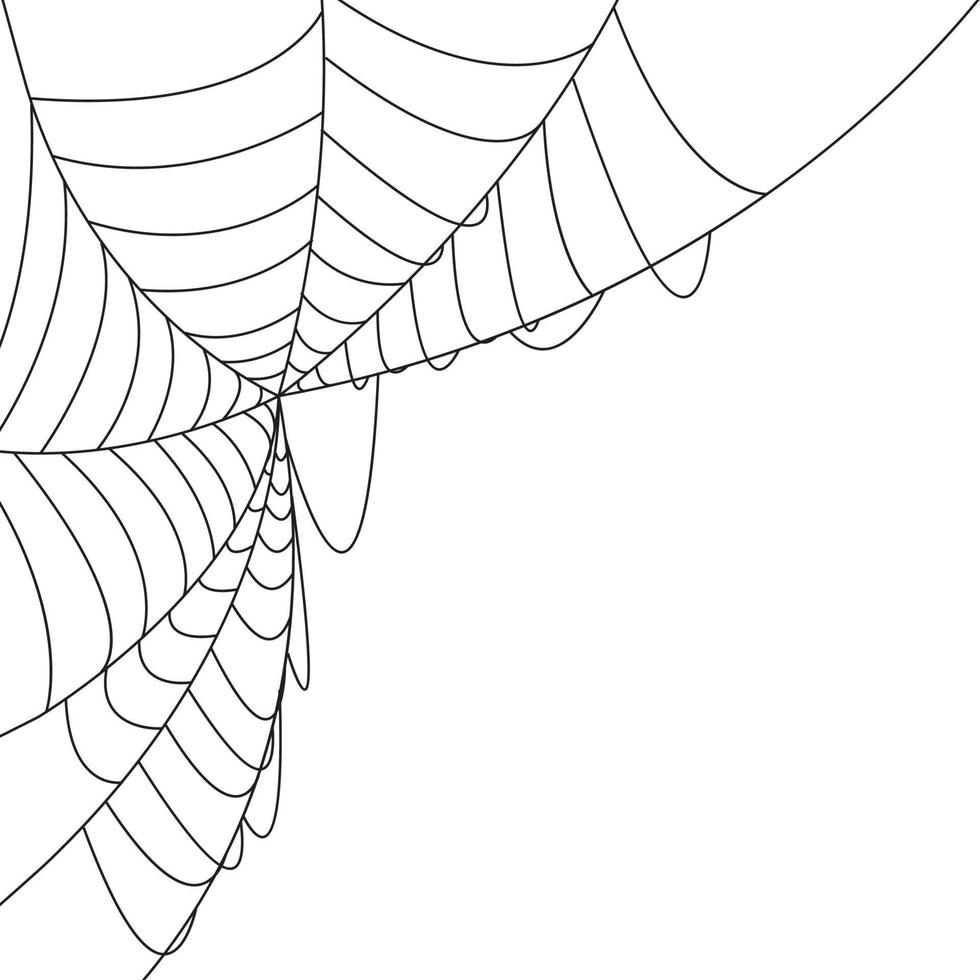 Web with spider background. Vector Illustration