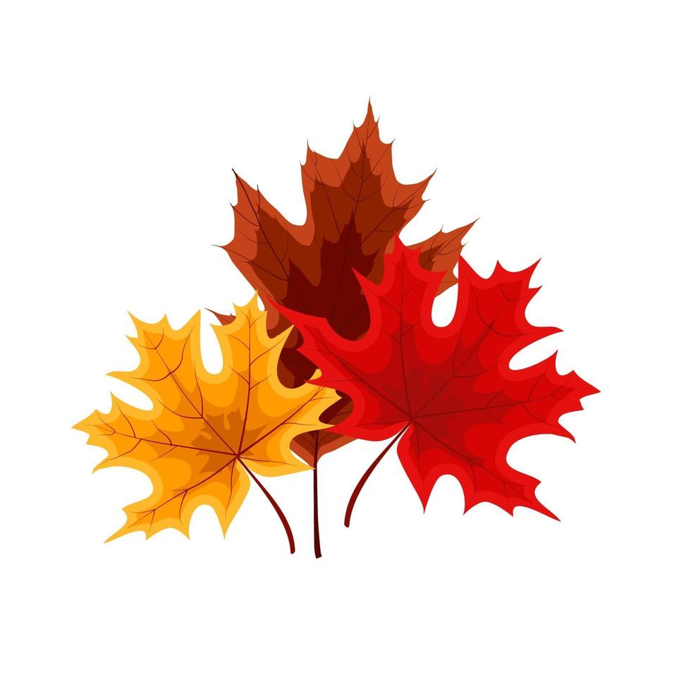 Autumn Falling Leaves Icon Isolated vector