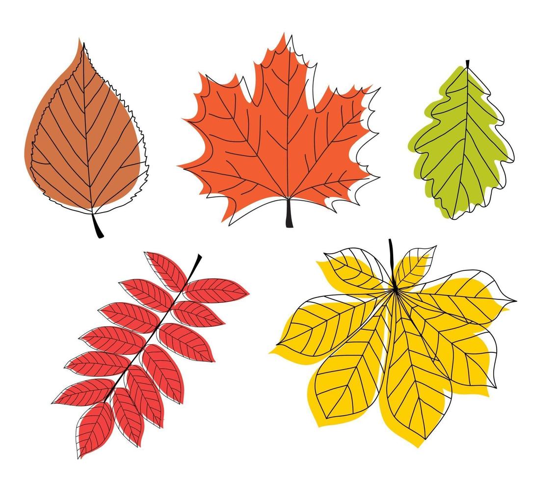 Hand drawn Autumn Leaves Collection Set. Vector Illustration