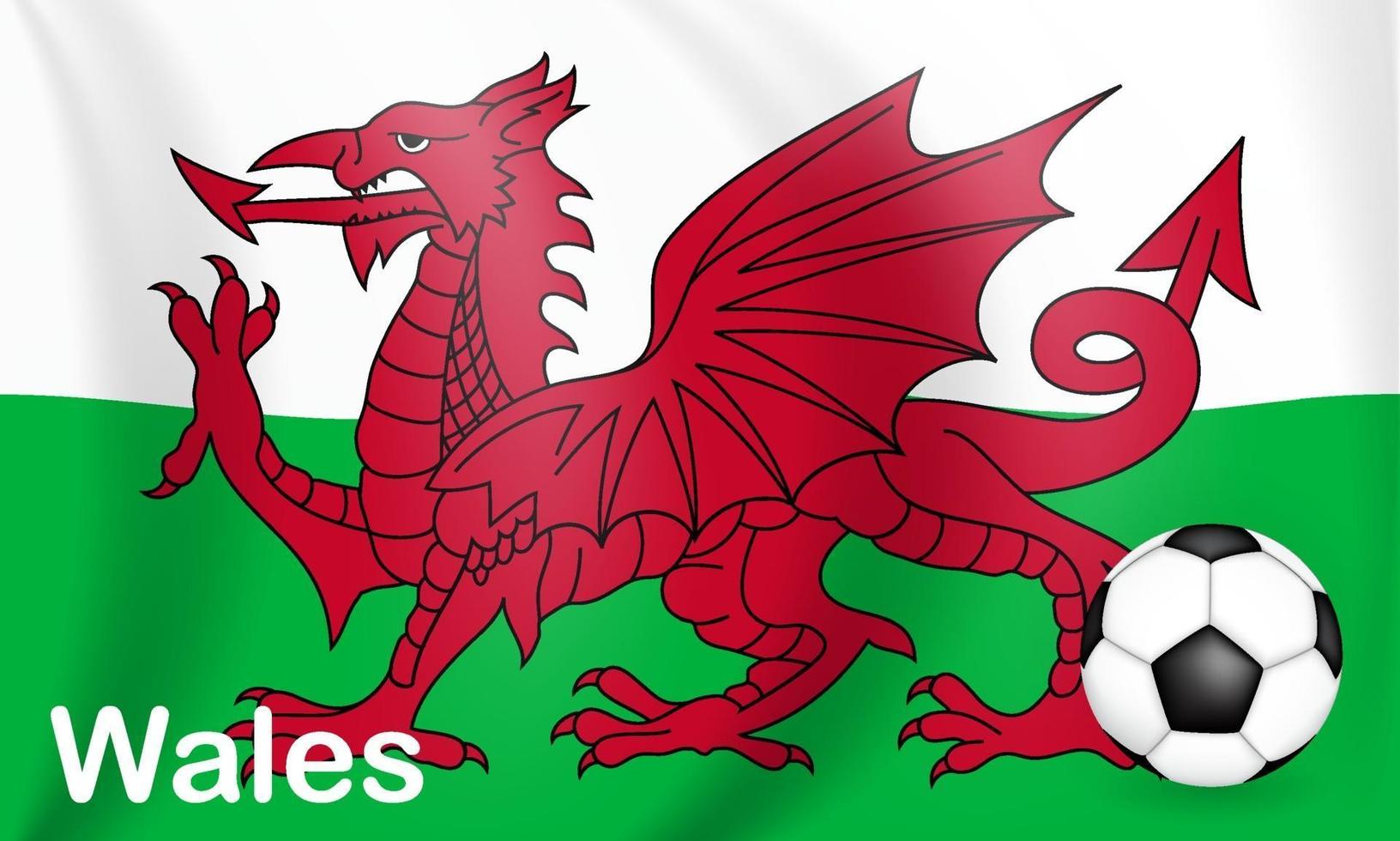 Football game background Wales with flag. Championship. vector