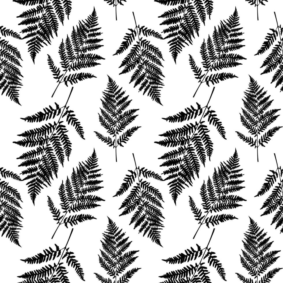 Fern leaf seamless pattern background. Vector Illustration