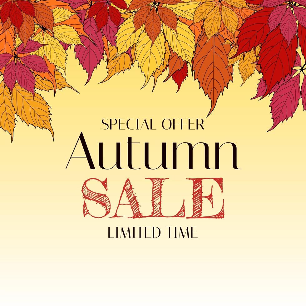 Autumn Sale Background Template with leaves. Special offer vector