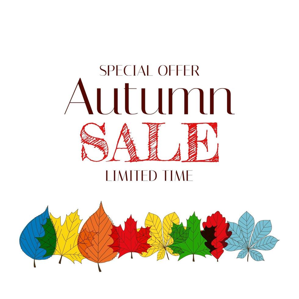 Autumn Sale Background Template with leaves. Special offer vector