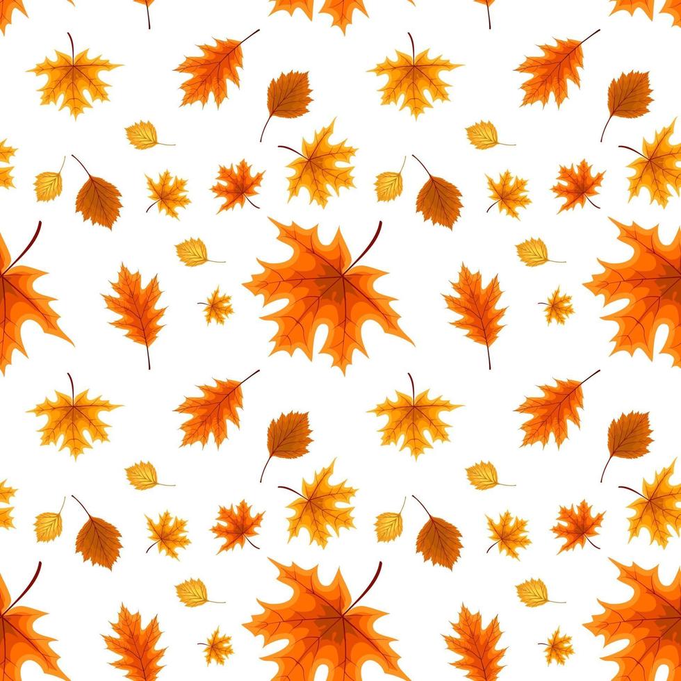 autumn orange and red fallen leaves. seamless pattern. vector