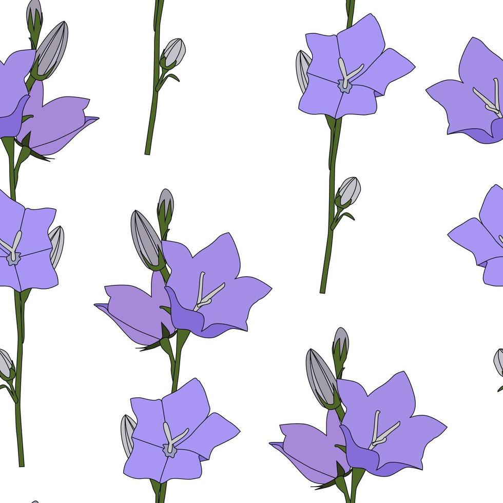 Hand drawn Campanula Flower seamless pattern background vector