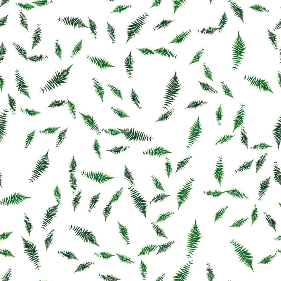 seamless pattern. Fern Leaf Vector Background Illustration EPS10