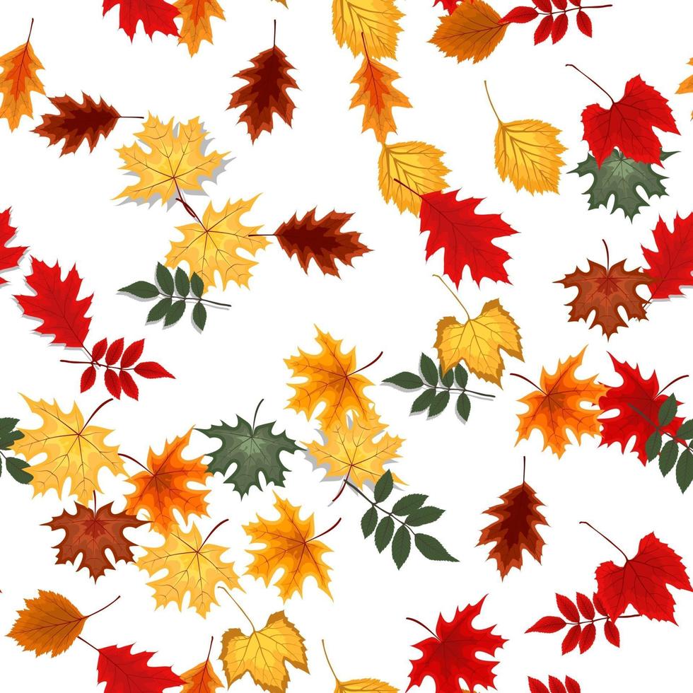 Autumn Seamless Pattern Background with Falling Autumn Leaves 3355673 ...