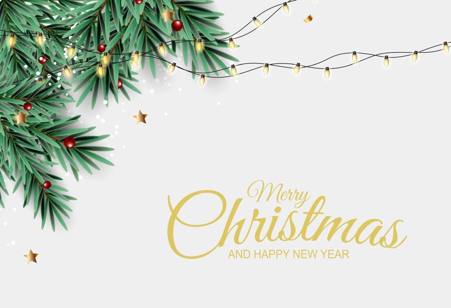 Holiday New Year and Merry Christmas Background vector