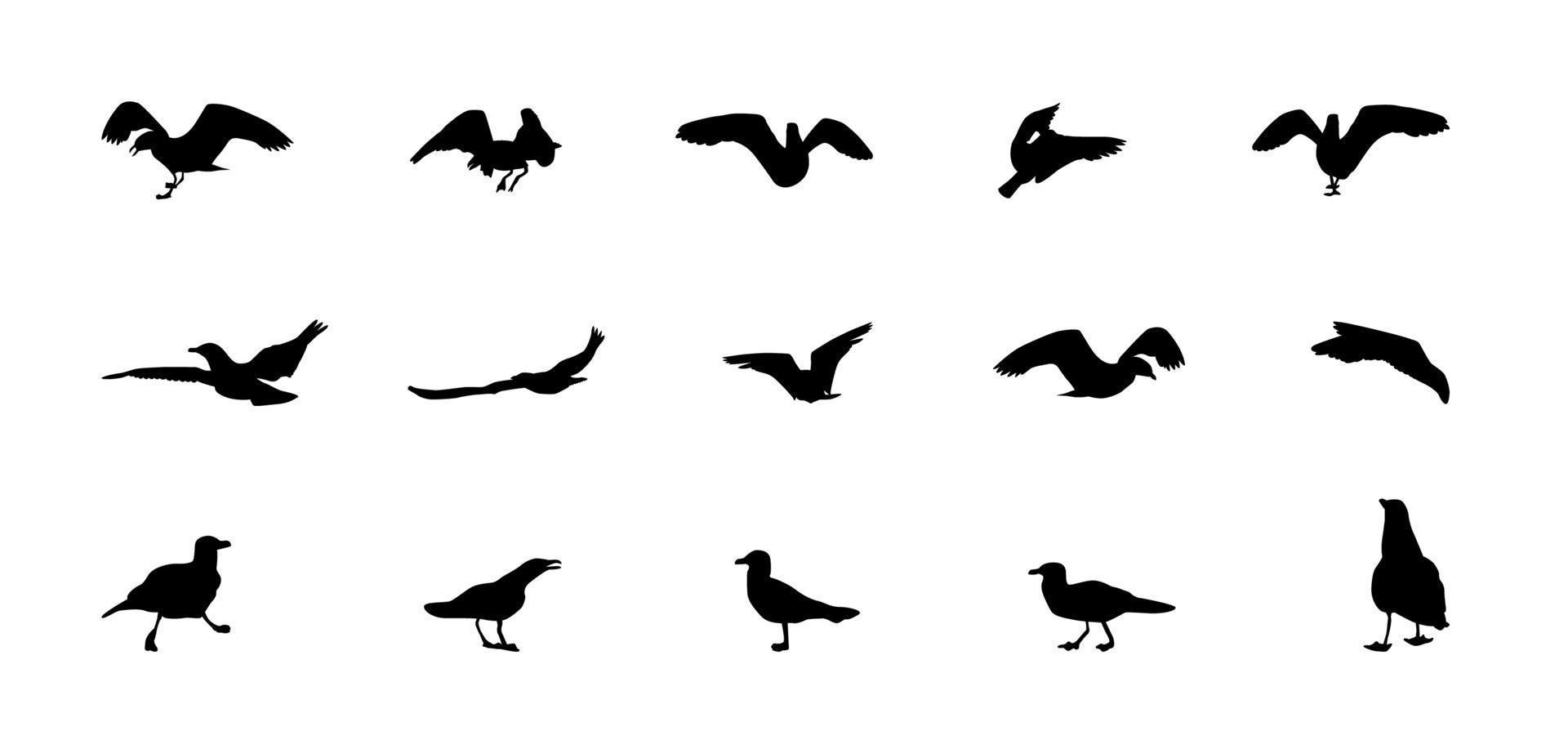 Set of different gull silhouettes. Flying, eating, going, taking off. vector