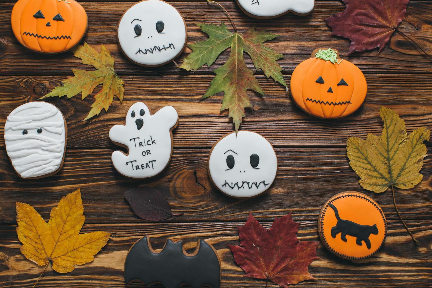 Mummy, bat, pumpkin, ghost, black cat cookies for Halloween photo