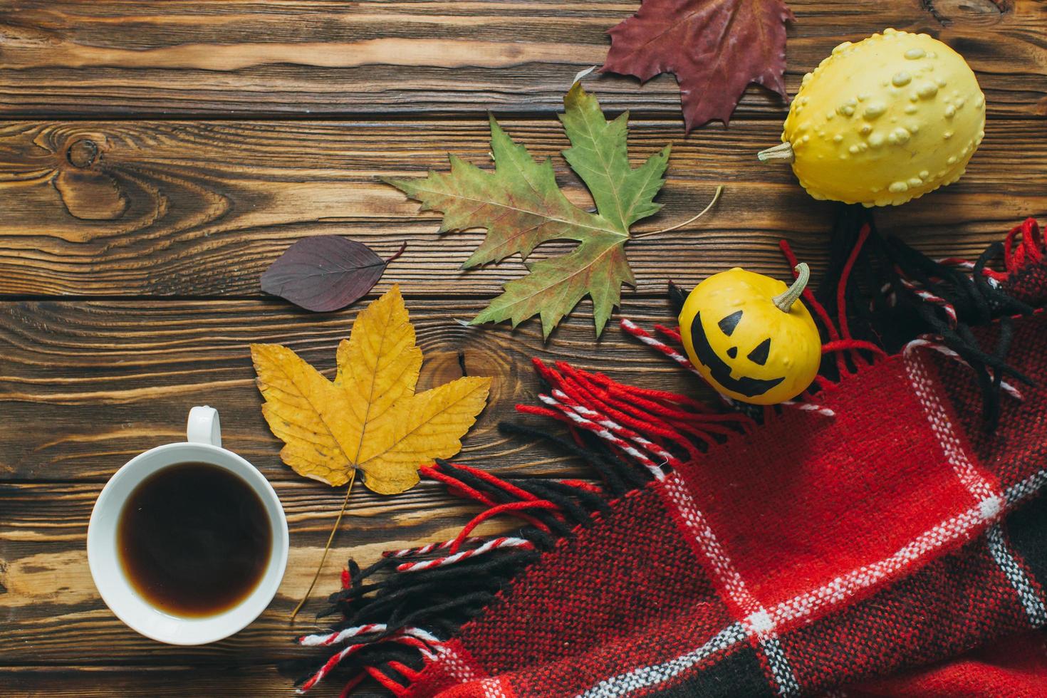 Autumn decor, pumpkins, plaid and leaf photo