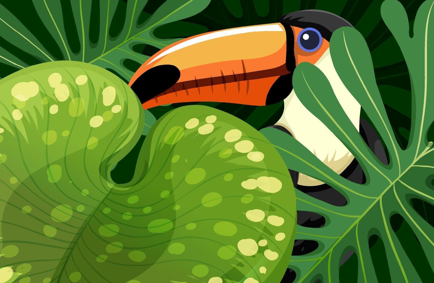 Toucan bird hidden in the jungle vector