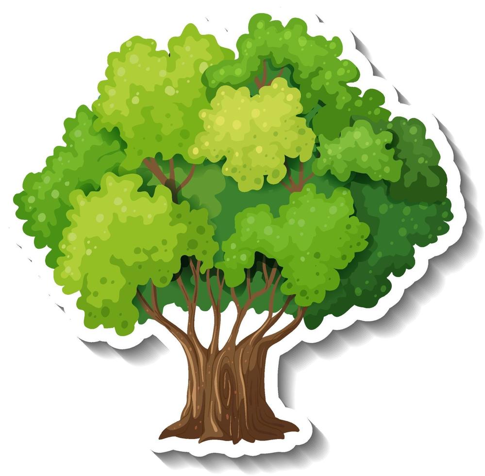 Un árbol con adhesivo de hojas verdes sobre fondo blanco. vector