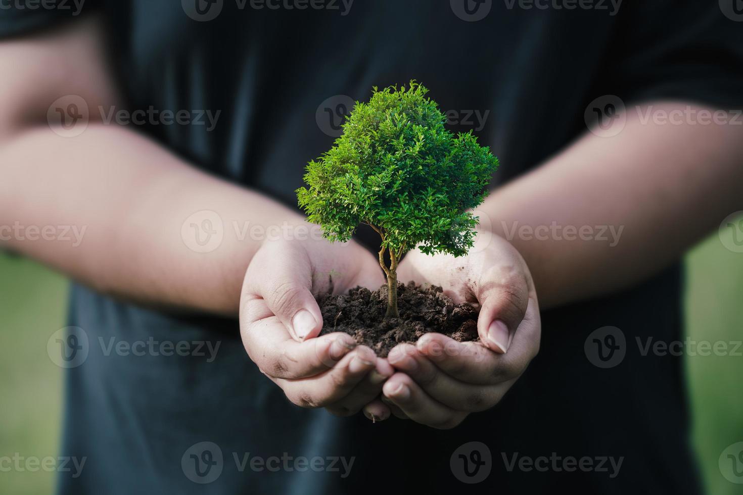 Concepto de RSE y plantación empresarial de árboles jóvenes. foto