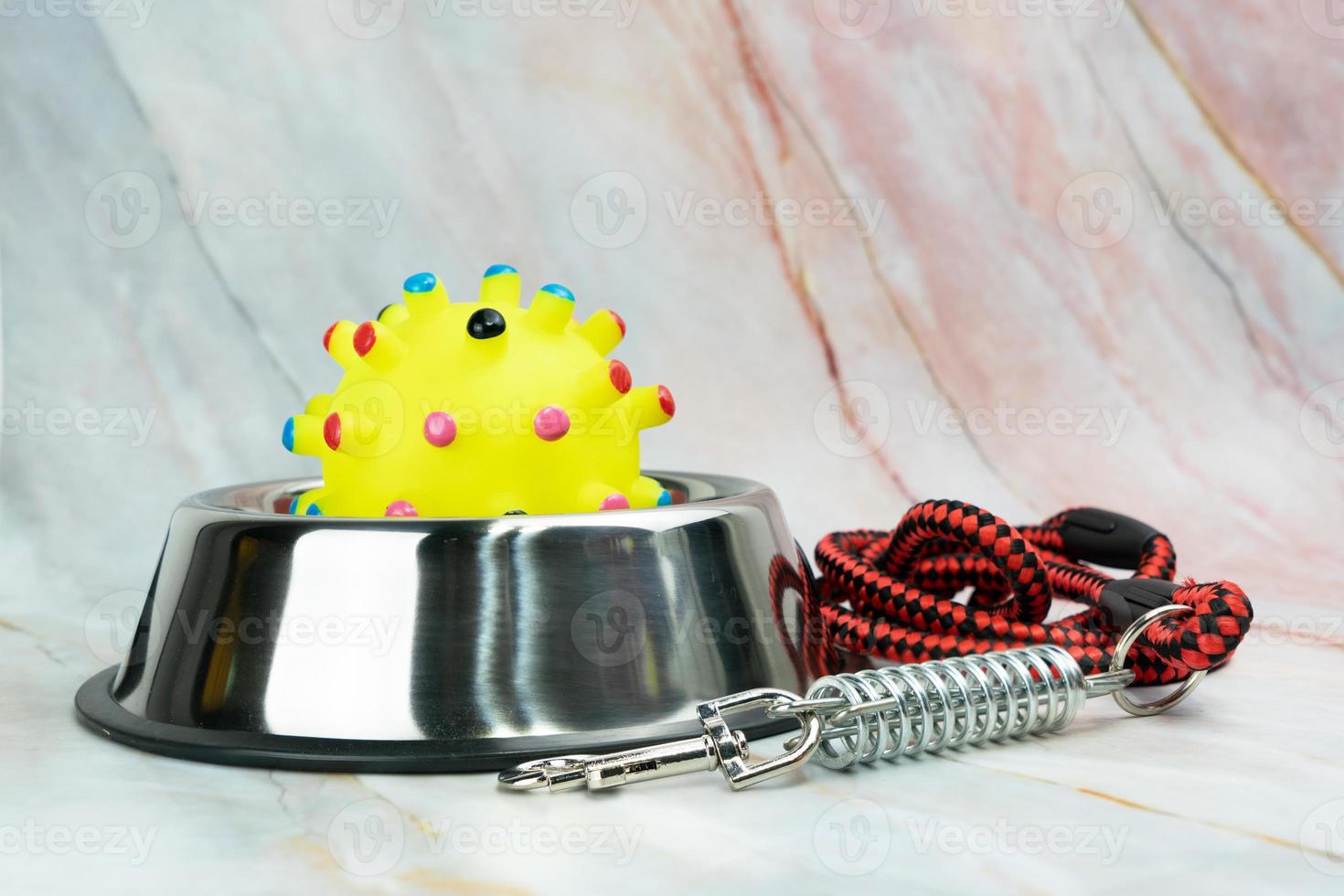 Stainless bowls with toy and leash.  Pet supplies concept photo