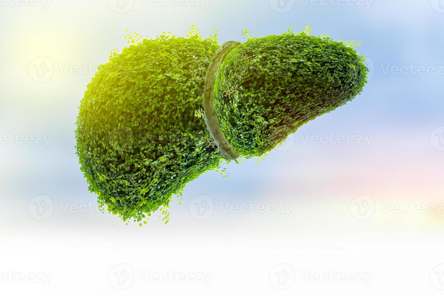 Illustration of a tree in the shape of a liver photo