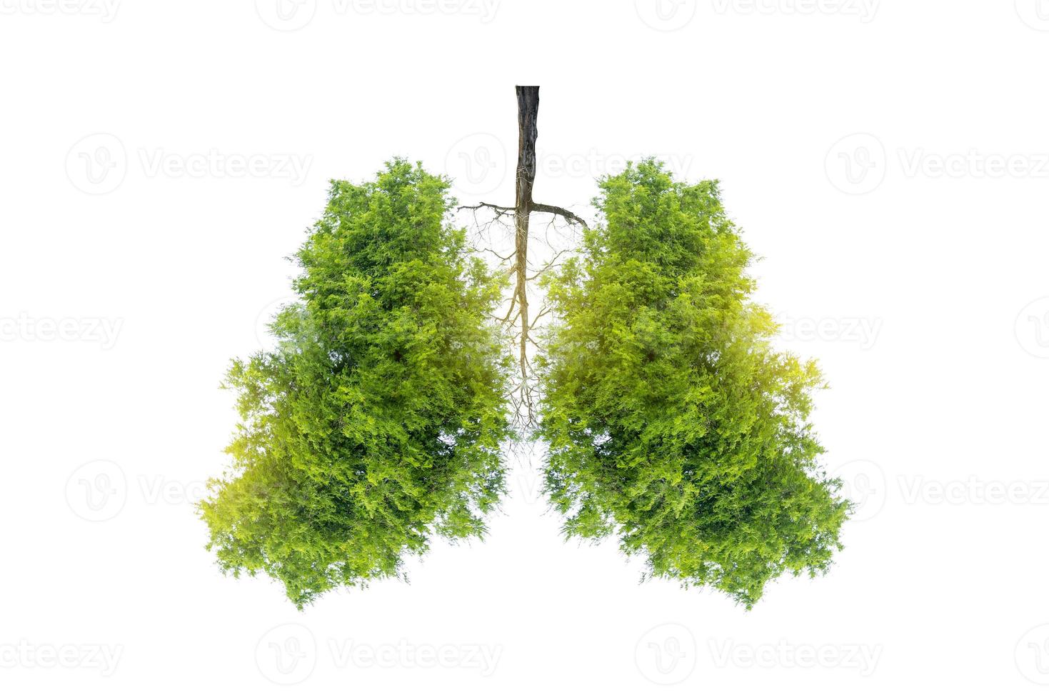 Ilustración del medio ambiente y la medicina del árbol pulmonar. foto