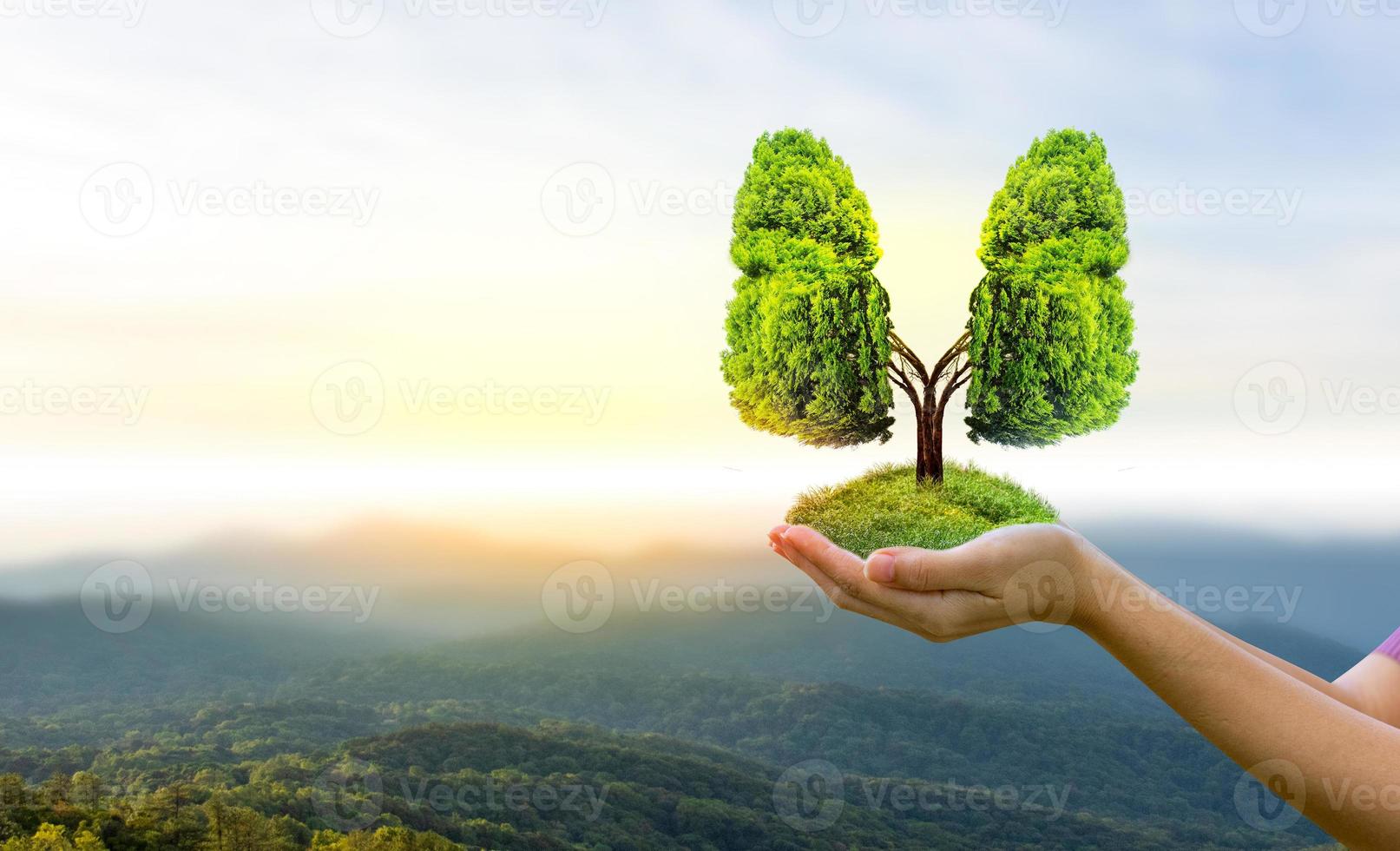 Illustration of lung tree Environment and Medicine photo