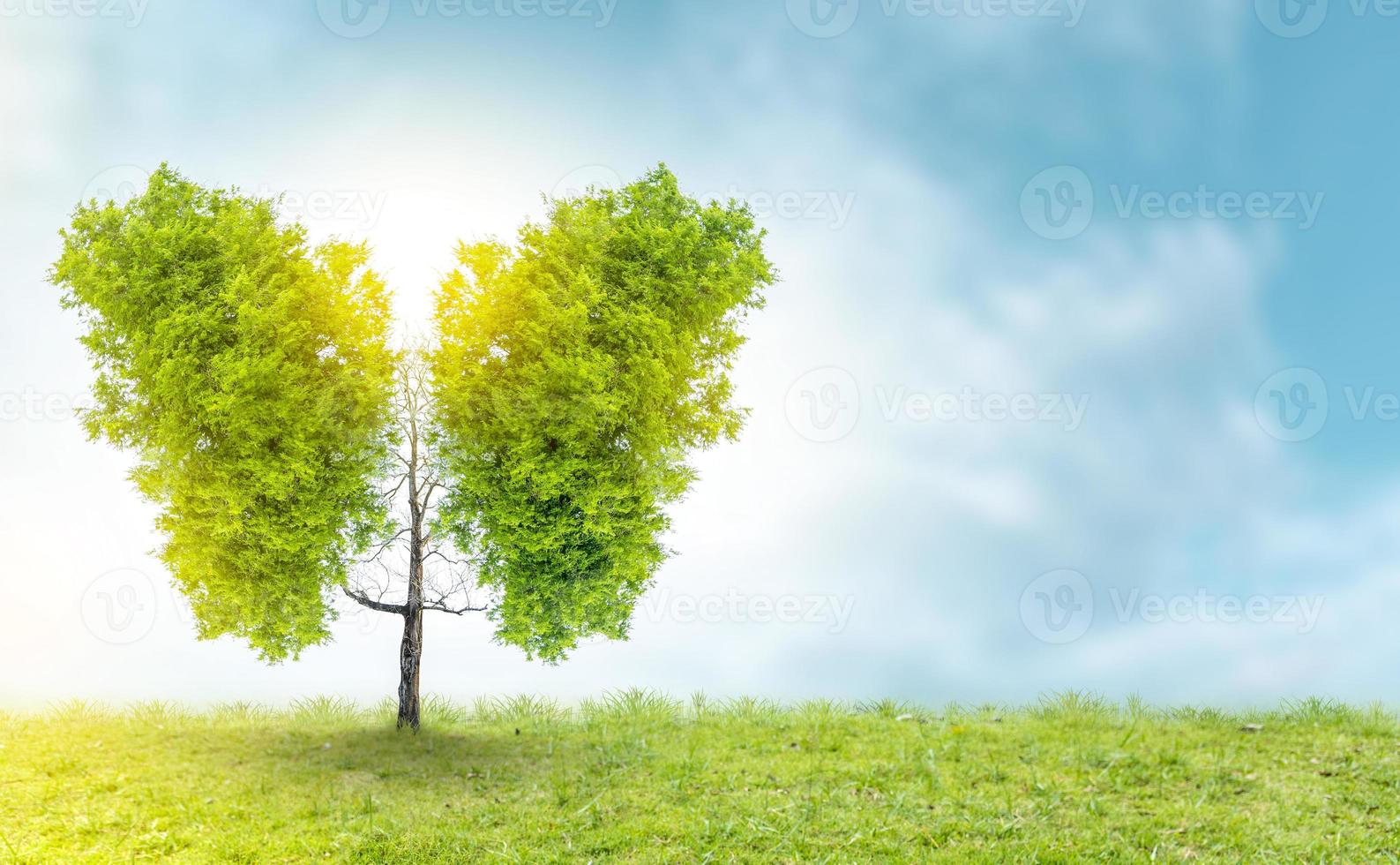 Illustration of lung tree Environment and Medicine photo