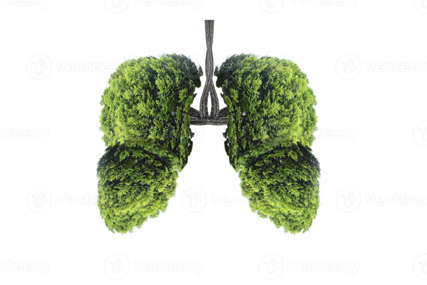 Illustration of lung tree Environment and Medicine photo