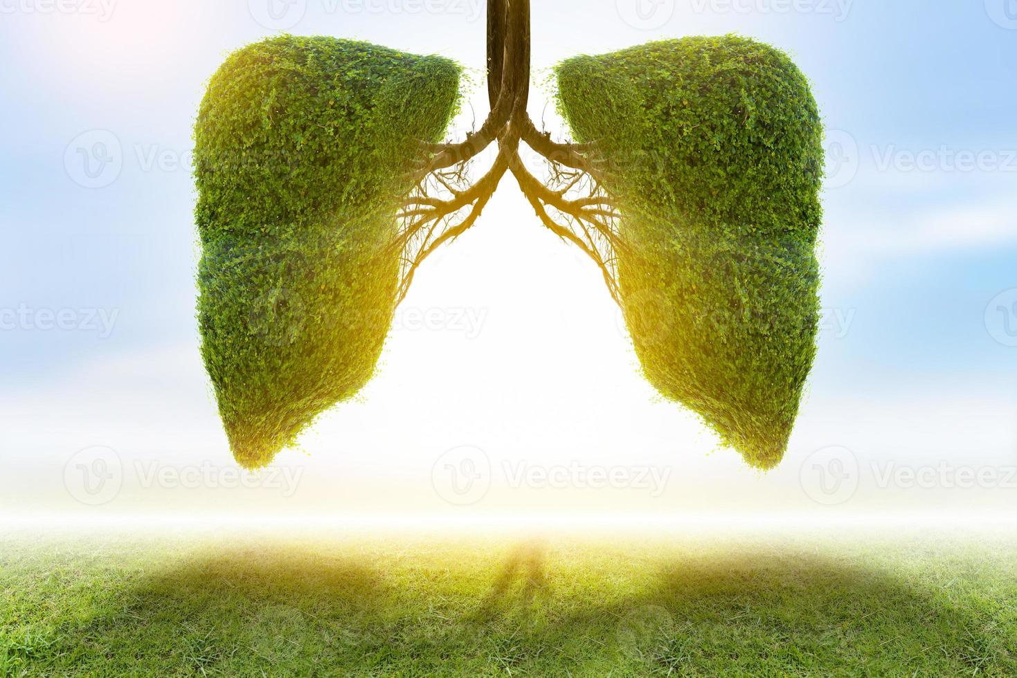 Illustration of lung tree Environment and Medicine photo