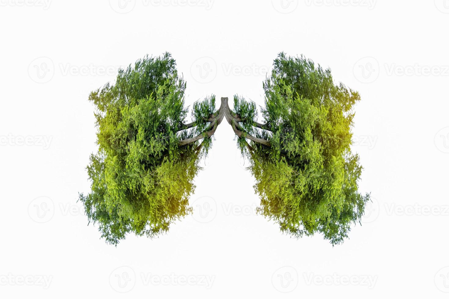 Ilustración del medio ambiente y la medicina del árbol pulmonar. foto