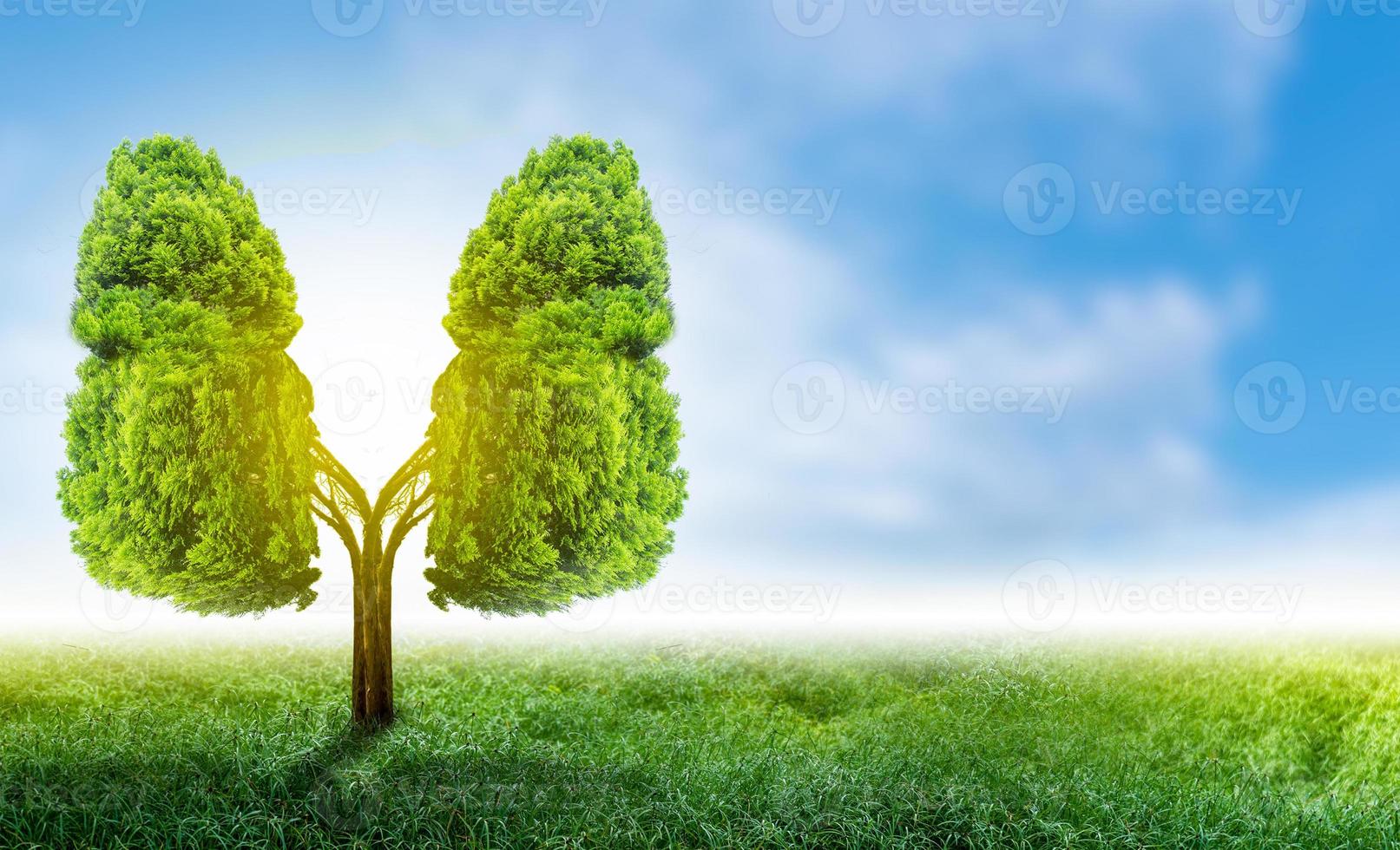 Illustration of lung tree Environment and Medicine photo