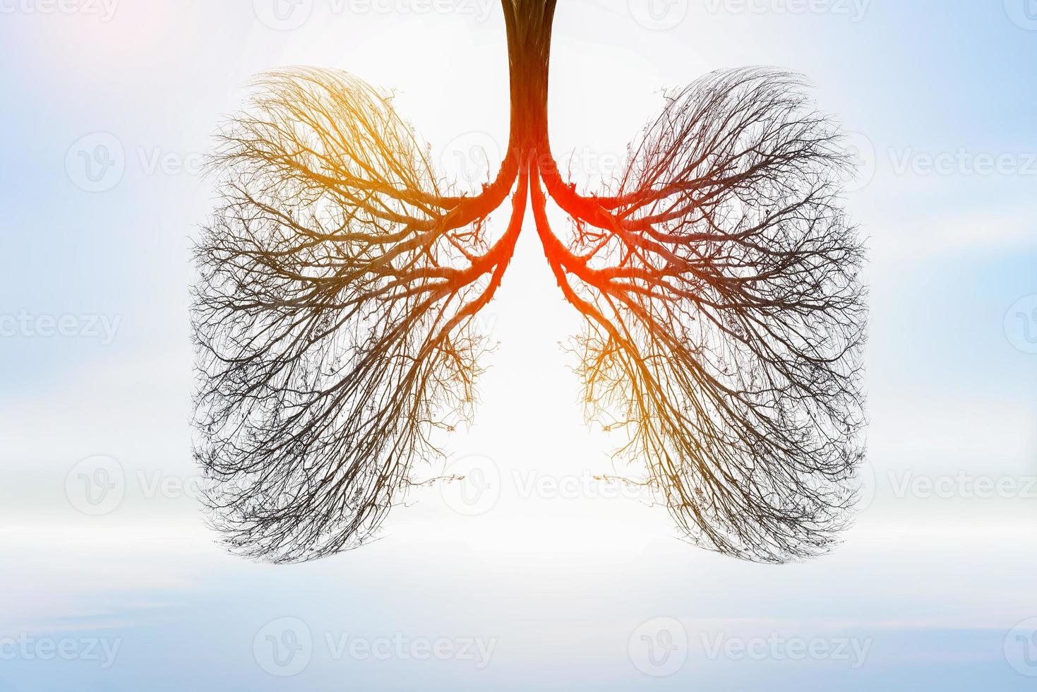 Ilustración del medio ambiente y la medicina del árbol pulmonar. foto