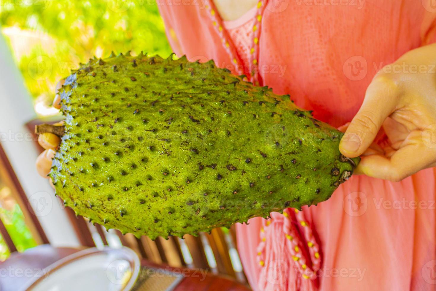 Woman holds presents soursop Sauersack tropical fruit in Sri Lanka. photo