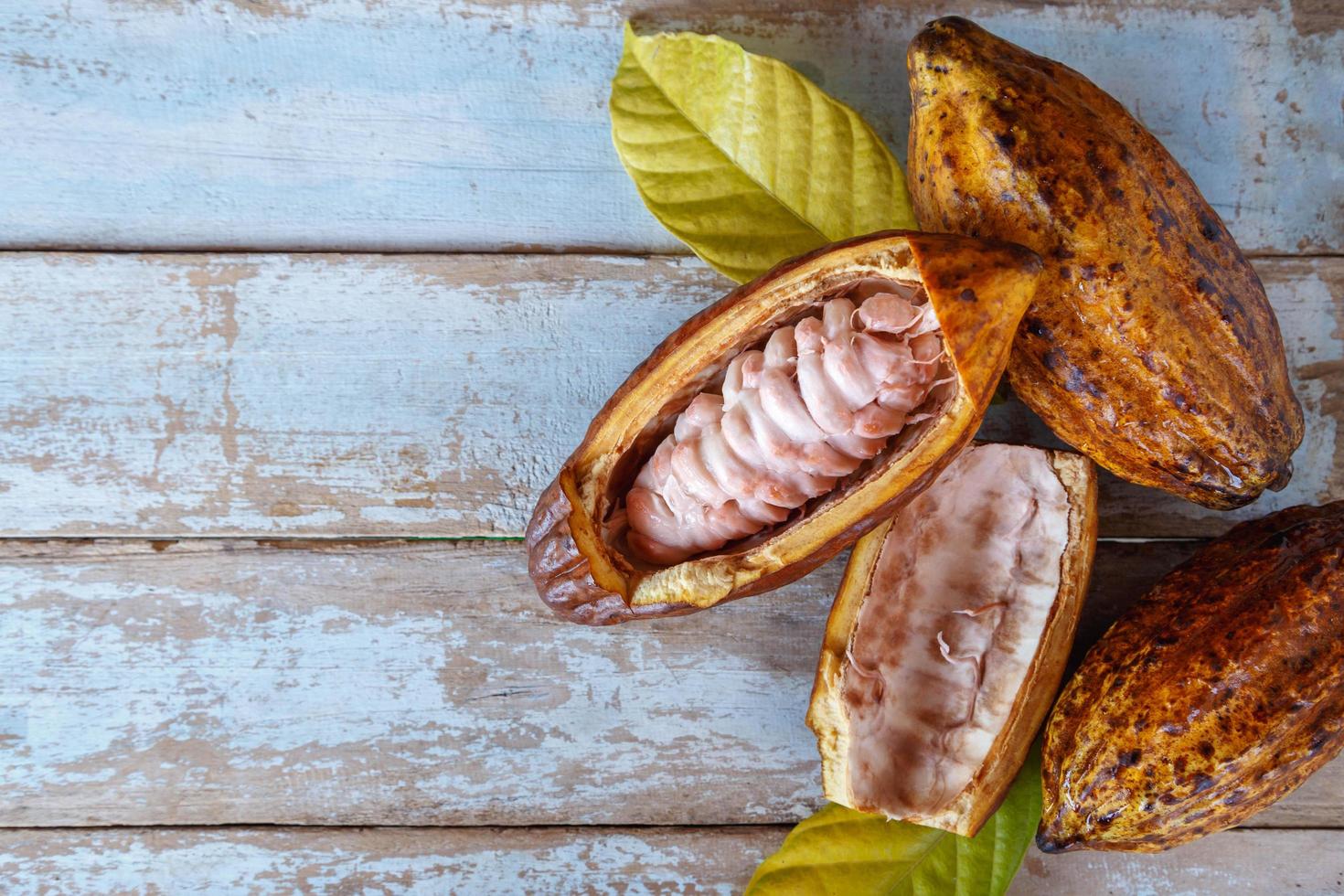 Fresh cocoa pods and cocoa leaves on wooden background photo