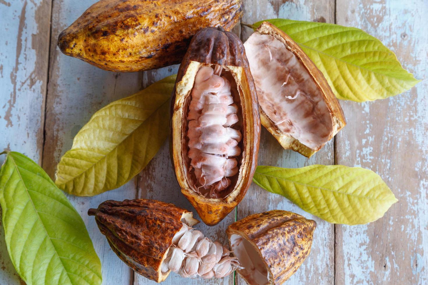 Fresh cocoa pods and cocoa leaves on wooden background photo