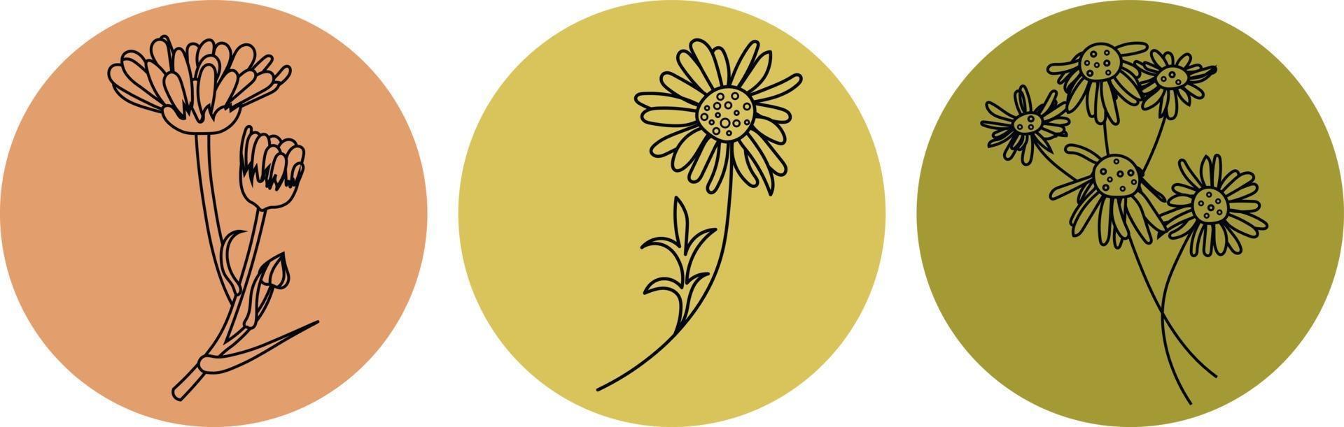 Vector icons for stories. Chamomile and calendula black line.