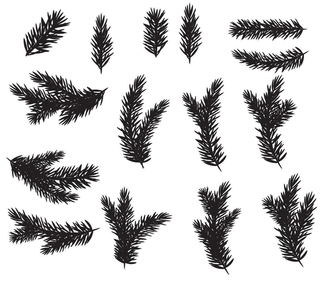 Conjunto de colección de silueta realista de ramas de abeto para árbol de Navidad vector