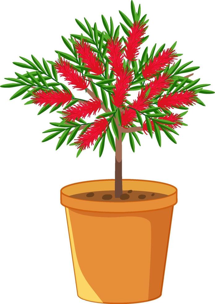 Planta de fower en una maceta aislado sobre fondo blanco. vector