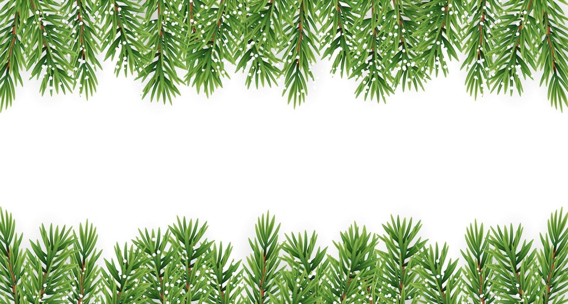 Fir Branches with Snow. Merry Christmas and New Year vector