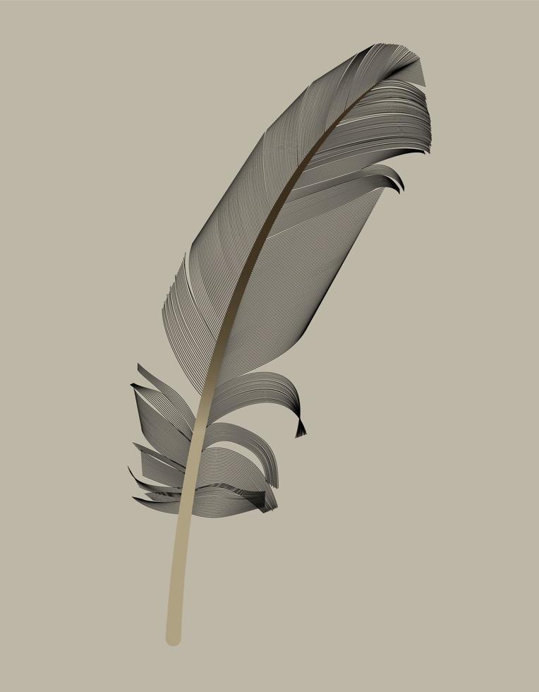 Pluma de pájaro negro dibujada en la ilustración vectorial. vector