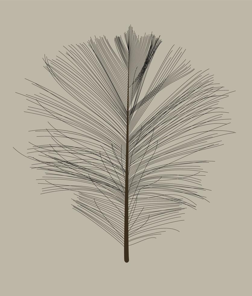 Black Bird Feather Drawn in Vector Illustration.