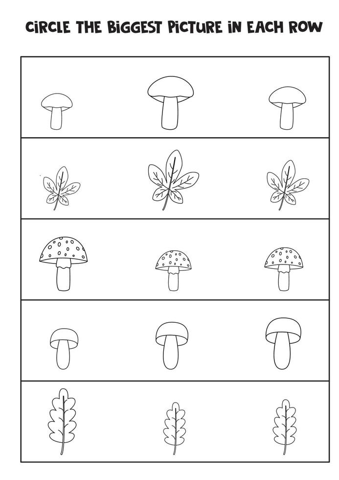 Find the biggest autumn picture in each row. vector